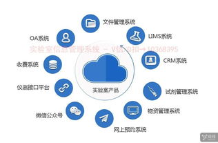 实验室LIMS系统软件与iPhone应用开发外包服务概览